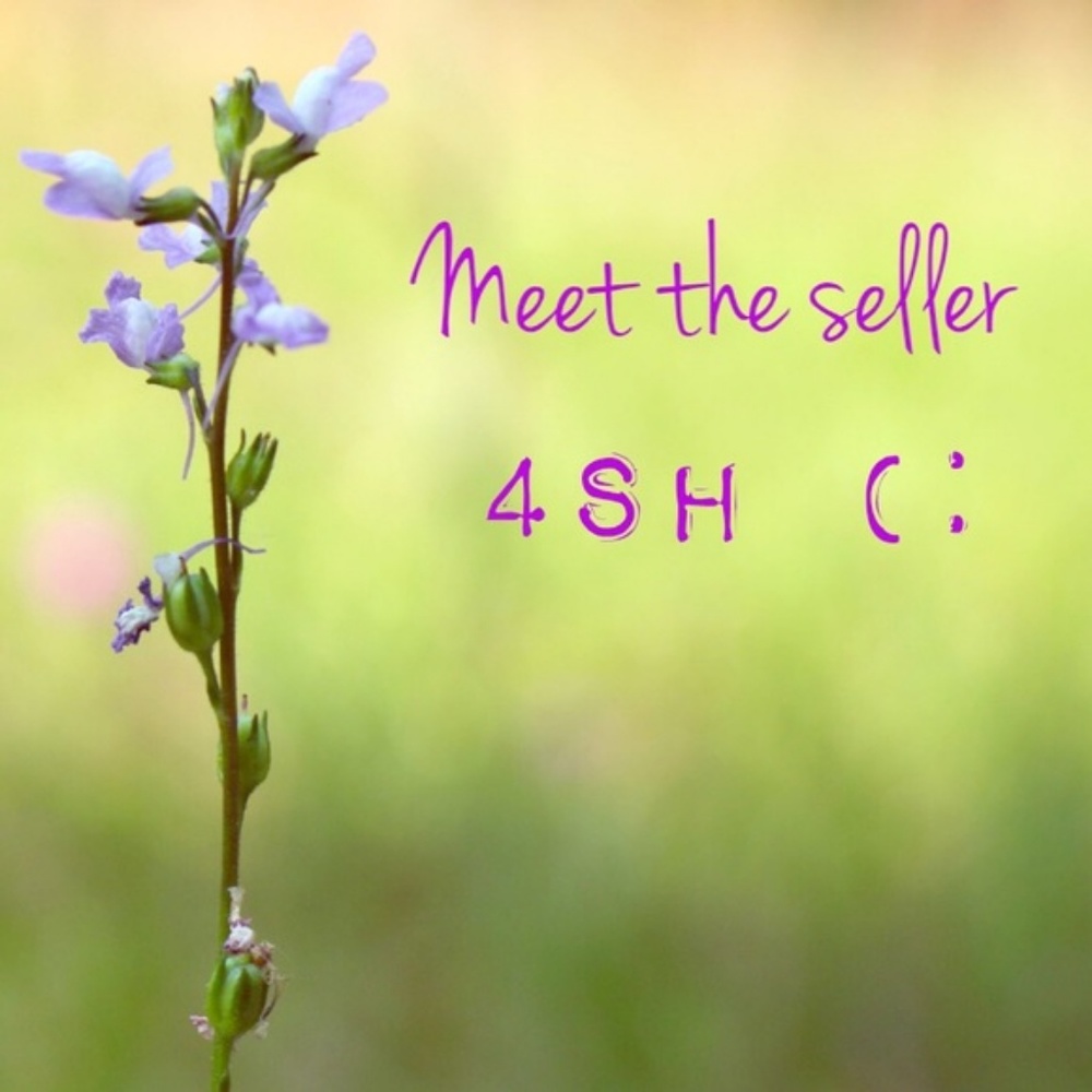 Meet the seller - 4sh